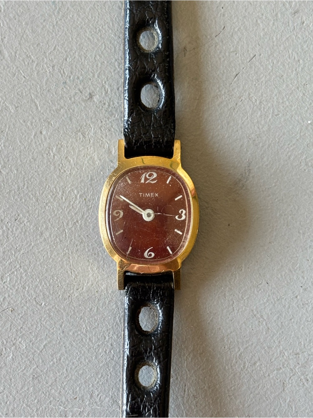 Timex Gold Case Brown Dial Watch with Black Strap